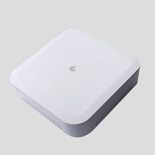 MDS-CO 煤氣監(jiān)測及報警器/配套殼體