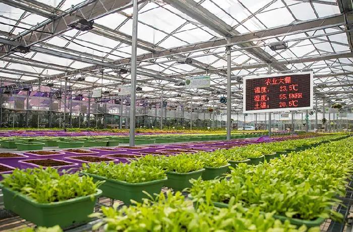 長(zhǎng)英科技智能溫室監(jiān)控系統(tǒng)